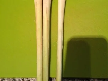 Ingwer-Tomaten Suppe - Rezept - Bild Nr. 6