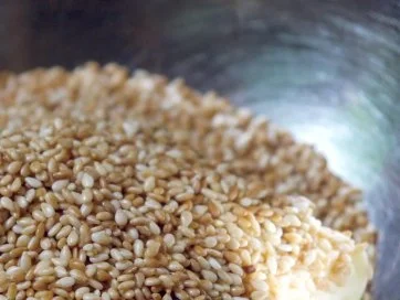 Sesam-Butter - Rezept - Bild Nr. 6