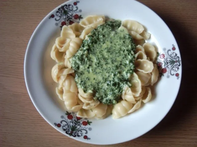 Rezept: Pastasoße Muschelnudeln mit Käse-Sahne-Soße Pastasoße Muschelnudeln mit Käse-Sahne-Soße - Rezept