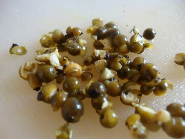 Die Kartoffelsuppe der " Grande Nation" - Rezept - Bild Nr. 8