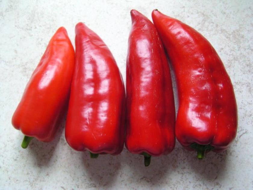 Paprika-Grillspieße - Rezept mit Bild - kochbar.de