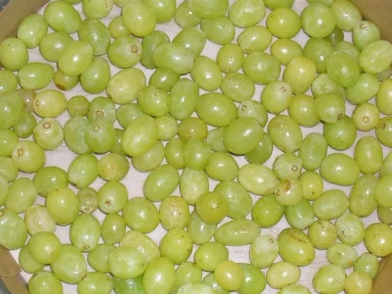 Tarte de raisins - Rezept - Bild Nr. 5