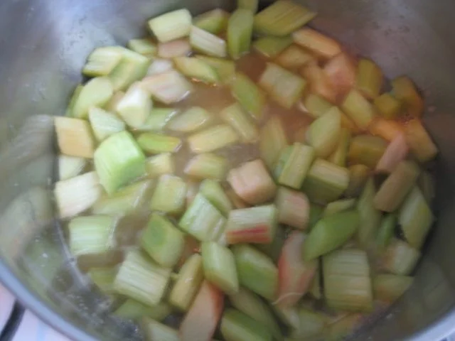 Rhabarber Vanille Tarte - Rezept - Bild Nr. 11