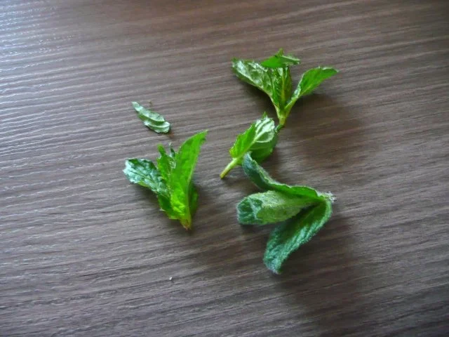 Erdbeere - Holunderblüten - Minze - Marmelade - Rezept - Bild Nr. 2