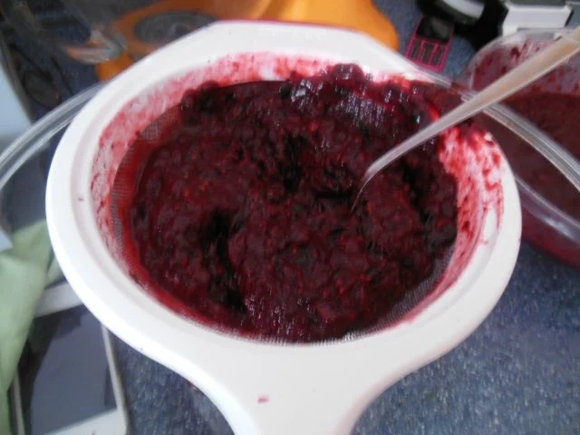 Eis: Waldbeerensorbet - Rezept - Bild Nr. 2