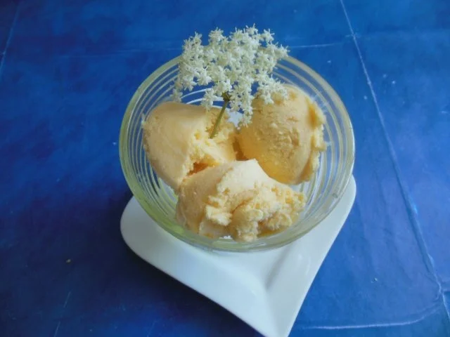 Rezept: Eis: Holunderblüteneis Eis: Holunderblüteneis - Rezept