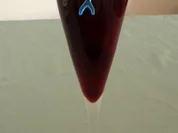 Cassis - Sekt - Rezept