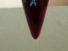 Cassis - Sekt - Rezept