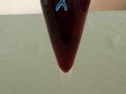 Cassis - Sekt - Rezept