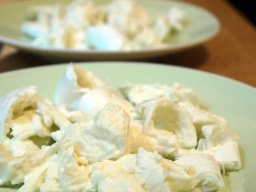 Büffelmozzarella mit Mango-Gurken-Salsa - Rezept - Bild Nr. 9