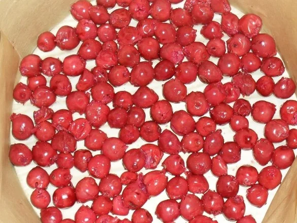 Clafoutis aux cerises - Rezept - Bild Nr. 3