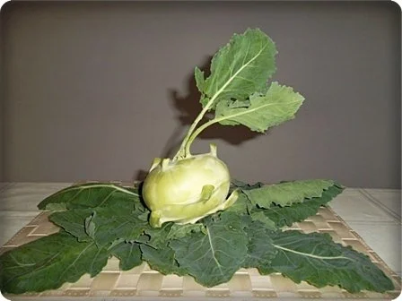 Kohlrabicremesuppe  mit Schinkenstreifen - Rezept - Bild Nr. 4