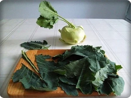 Kohlrabicremesuppe  mit Schinkenstreifen - Rezept - Bild Nr. 6