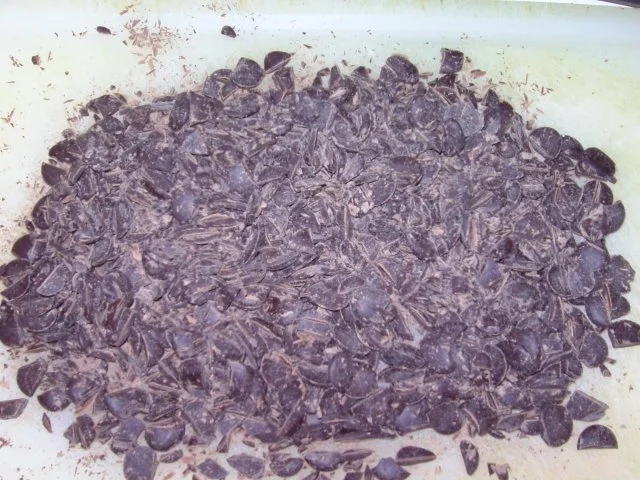 Rezept: Erdnussbutter-Schokoladen-Kuchen vom Blech Bild Nr. 2 Erdnussbutter-Schokoladen-Kuchen vom Blech - Rezept - Bild Nr. 2