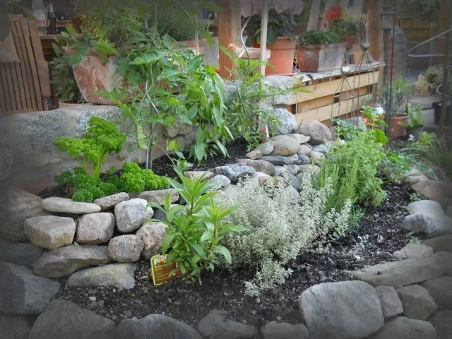 Köfte - Rezept - Bild Nr. 3