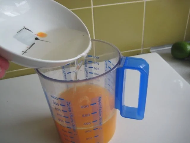 Orangen Campari Sorbet - Rezept - Bild Nr. 7