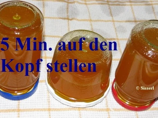 Rezept: Sisserl's * Zitronen - Amaretto - Chili - Gelee * Bild Nr. 8 Sisserl's * Zitronen - Amaretto - Chili - Gelee * - Rezept - Bild Nr. 8