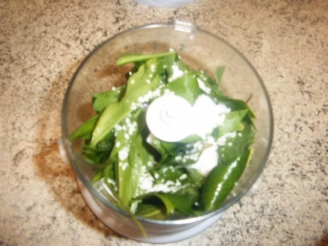 Bärlauchblütenessig -und öl ,Bärlauchpaste - Rezept - Bild Nr. 4