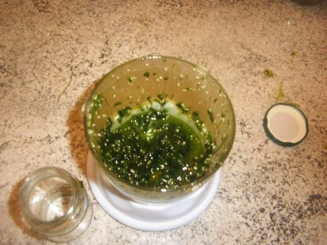 Bärlauchblütenessig -und öl ,Bärlauchpaste - Rezept - Bild Nr. 6