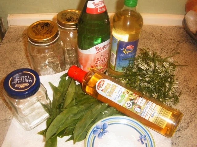 Bärlauchblütenessig -und öl ,Bärlauchpaste - Rezept - Bild Nr. 2