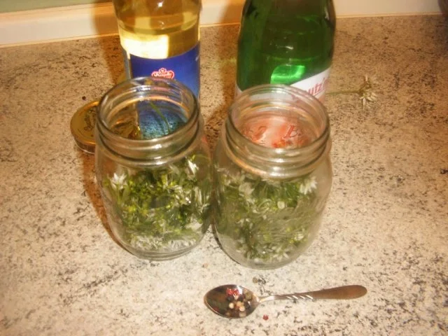 Bärlauchblütenessig -und öl ,Bärlauchpaste - Rezept - Bild Nr. 3