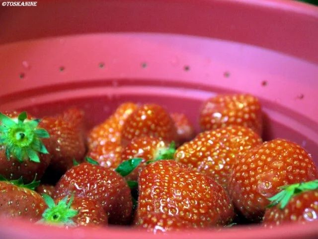 Rezept: Büffelmozzarella und Erdbeeren Bild Nr. 3 Büffelmozzarella und Erdbeeren - Rezept - Bild Nr. 3