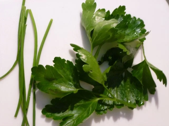 Leicht verschärfte Hack-Tomaten-Paprikasuppe - Rezept - Bild Nr. 4