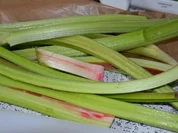 Rhabarber-Sahne - Rezept