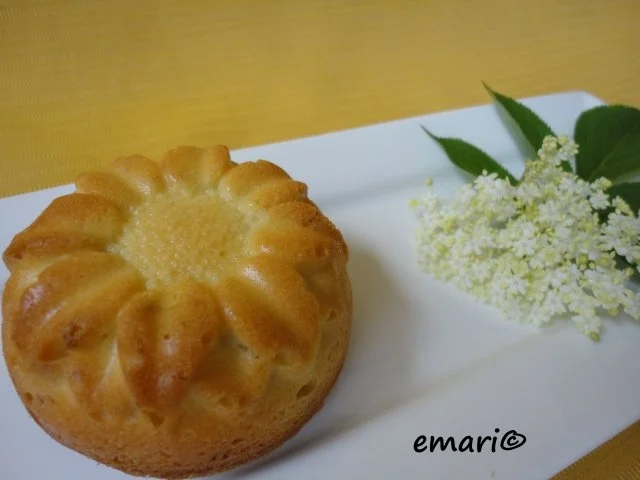 Rezept: Holunderblüten Kuchen Bild Nr. 17 Holunderblüten Kuchen - Rezept - Bild Nr. 17