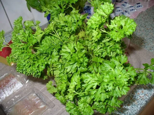 Putengeschnetzeltes auf Hörnchen-Nudeln - Rezept - Bild Nr. 5