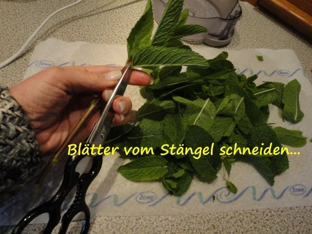 Minze Zucker - Rezept - Bild Nr. 2