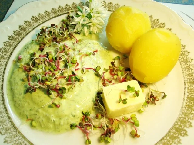 Wie man frische Sprossen gewinnt - Rezept - Bild Nr. 8