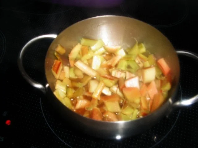 Rezept: Rhabarber-Pudding-Hefeteilchen Bild Nr. 4 Rhabarber-Pudding-Hefeteilchen - Rezept - Bild Nr. 4