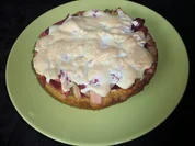 Himbeer-Rhabarber-Kuchen (Springform 20cm Durchmesser) - Rezept