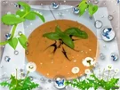 Eintopf :Möhren - Kartoffel - Cremesuppe - Rezept