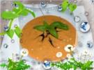 Eintopf :Möhren - Kartoffel - Cremesuppe - Rezept