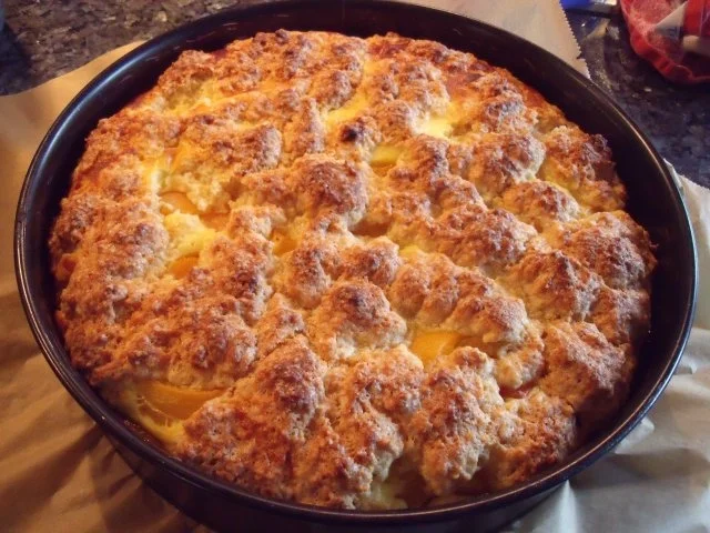 Aprikosen-Käsekuchen - Rezept