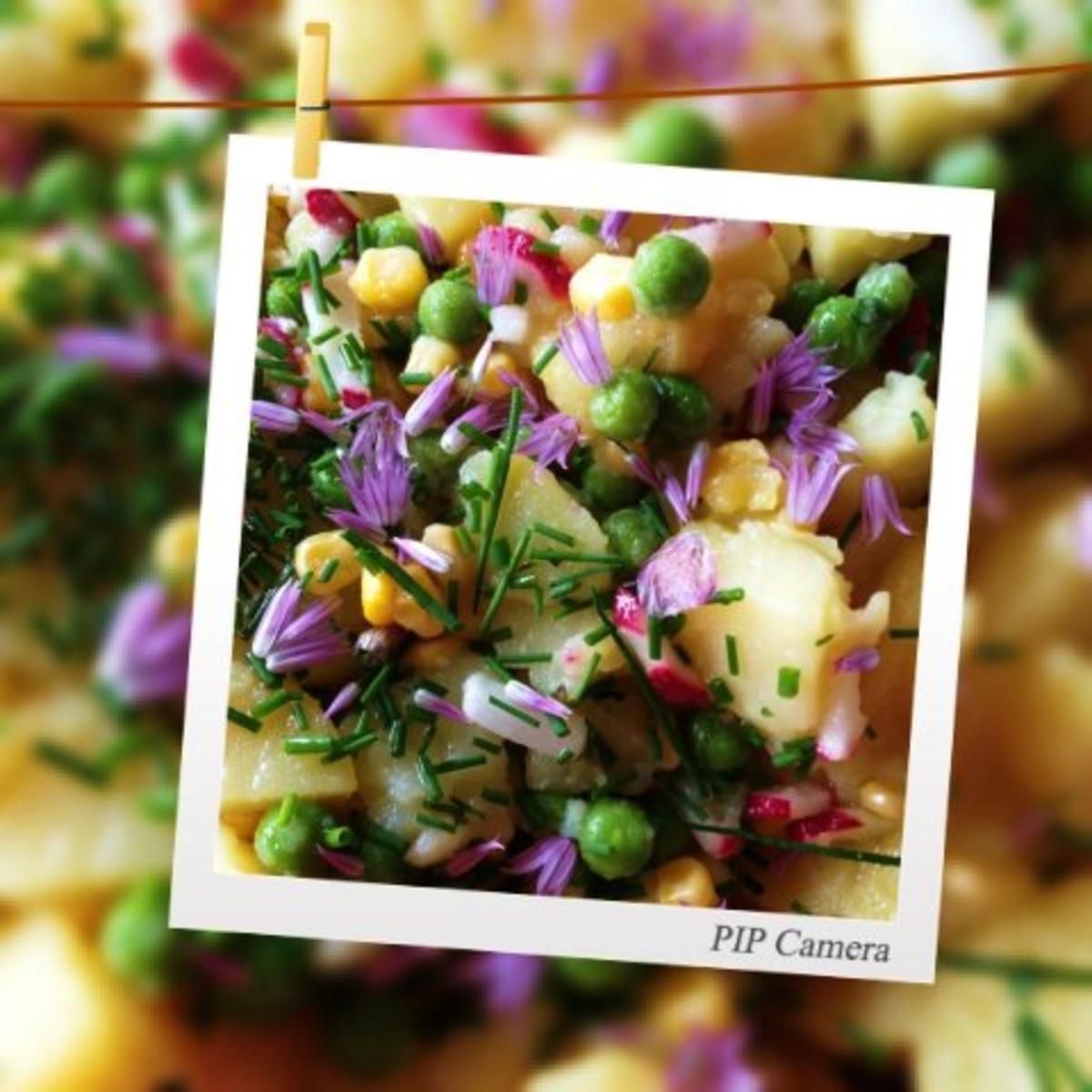 Kartoffelsalat bunt - Rezept