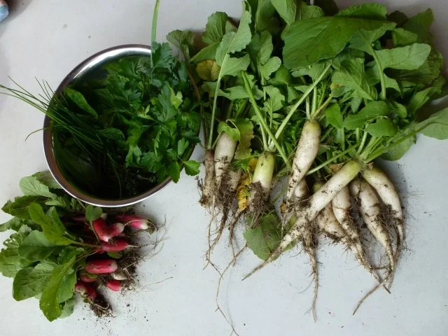 R+R Beilagen-Salat - Rezept - Bild Nr. 4