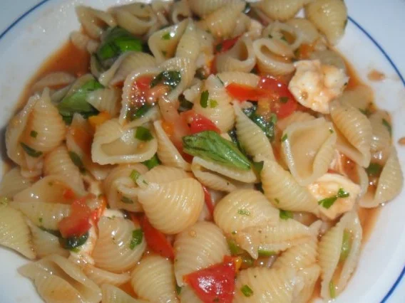 Rezept: mini conchiglie -muschelnudeln mit fruchtiger tomatensosse mini conchiglie -muschelnudeln mit fruchtiger tomatensosse - Rezept