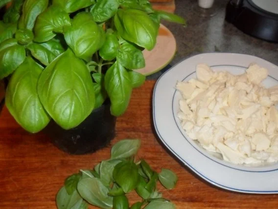 Rezept: mini conchiglie -muschelnudeln mit fruchtiger tomatensosse Bild Nr. 2 mini conchiglie -muschelnudeln mit fruchtiger tomatensosse - Rezept - Bild Nr. 2
