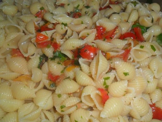 Rezept: mini conchiglie -muschelnudeln mit fruchtiger tomatensosse Bild Nr. 8 mini conchiglie -muschelnudeln mit fruchtiger tomatensosse - Rezept - Bild Nr. 8