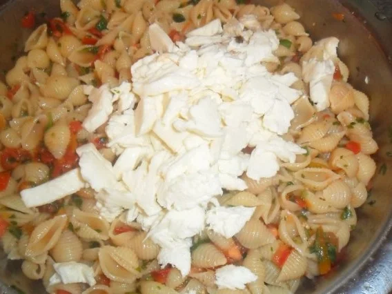 Rezept: mini conchiglie -muschelnudeln mit fruchtiger tomatensosse Bild Nr. 9 mini conchiglie -muschelnudeln mit fruchtiger tomatensosse - Rezept - Bild Nr. 9