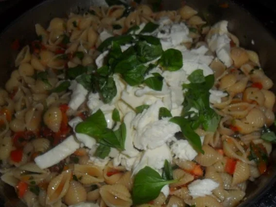 Rezept: mini conchiglie -muschelnudeln mit fruchtiger tomatensosse Bild Nr. 10 mini conchiglie -muschelnudeln mit fruchtiger tomatensosse - Rezept - Bild Nr. 10