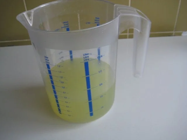 Rezept: Daiquiri Sorbet Bild Nr. 7 Daiquiri Sorbet - Rezept - Bild Nr. 7