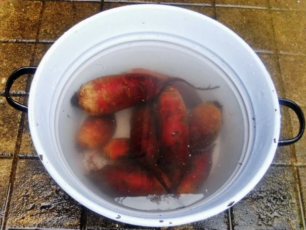 "Oma - Friede`s" - Ostpreußisches "Beete - Bartsch"  (Rzpt. um 1890) - Rezept - Bild Nr. 5