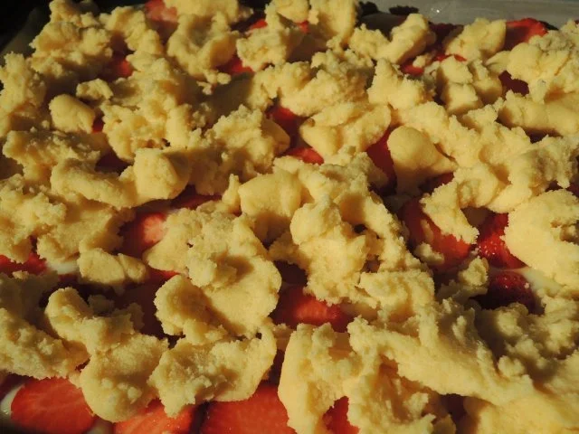 Erdbeer - Pudding - Streusel - Kuchen - Rezept - Bild Nr. 2