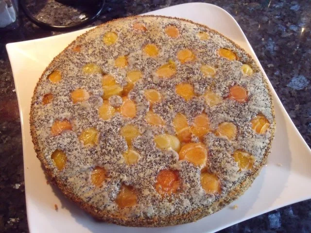 Gestürzter Aprikosen-Mohn-Kuchen - Rezept - Bild Nr. 4