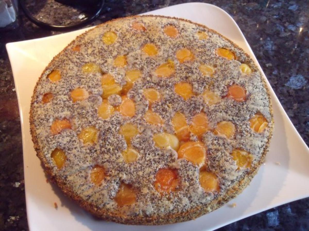 Gestürzter Aprikosen-Mohn-Kuchen - Rezept - kochbar.de