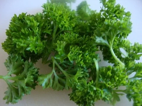 Grundrezept für "Rahmsuppen" - Rezept - Bild Nr. 9